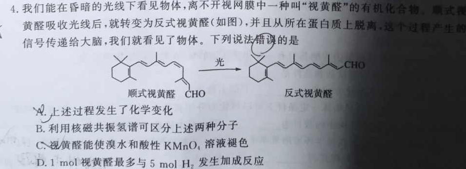 1云南民族大学附属高级中学2024届高三联考卷(四)(243247D)化学试卷答案