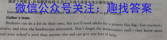 ˮо2024(JJB)(һ)Ӣx