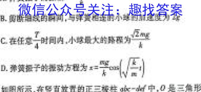 湘豫名校联考 2024届春季学期高三第四次模拟考试物理
