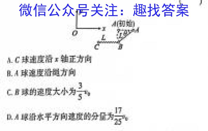 2024年鄂州市部分高中教科研协作体期中联考（高二）物理试卷答案