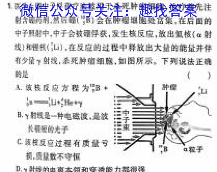 衡水金卷2024版先享卷答案信息卷 新高考卷二物理试卷答案