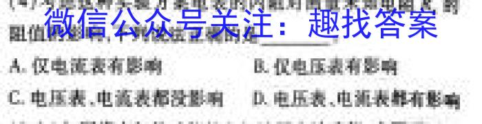 第九届湖北省高三(4月)调研模拟考试(2024.4)物理试卷答案