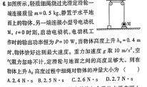 湖北省黄石市部分学校2023-2024学年度第一学期高二年级期末联考物理试题.