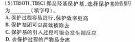 1金科大联考2023~2024学年度高一12月质量检测(24308A)化学试卷答案