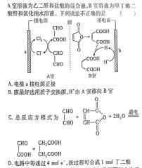 1江西省2023-2024学年高一年级上学期选科调研测试化学试卷答案