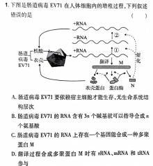 湖南省2023-2024学年度湘楚名校高二下学期3月联考(9151B)生物学部分