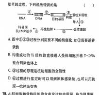 百师联盟·2025届高三开学摸底联考(山东)生物学部分