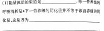 河南省2023-2024学年度八年级第三次12月月考（三）生物