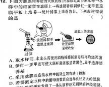 百师联盟 2023~2024学年高一12月大联考生物学部分