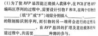 广西省2024年高考第三次联合模拟考试(2024.5)生物