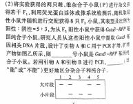 山西省吕梁市汾阳市初中七年级2023-2024学年第二学期期末测试卷生物