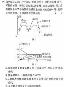 12023-2024年度河南省高三一轮复习阶段性检测（五）化学试卷答案