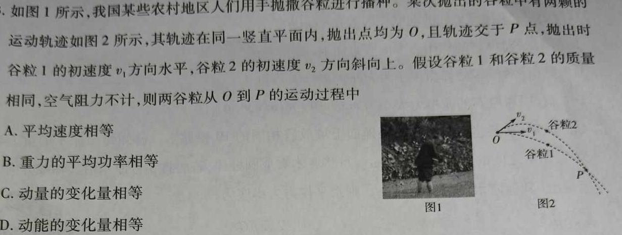 [今日更新]衡水金卷 2024届高三年级12月份大联考(新教材).物理试卷答案