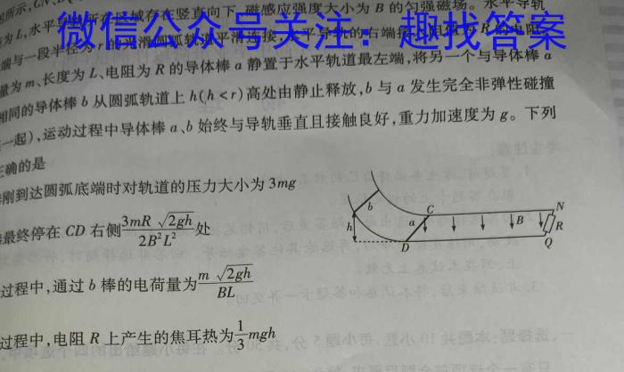 ʡ2024꼶ѧ5xԾ