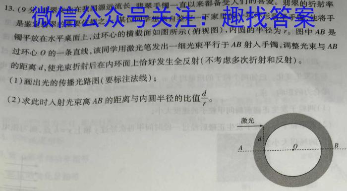 2024年全国普通高等学校招生统一考试·A区专用 JY高三终极一考卷(二)2物理试卷答案