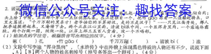 2024年普通高等学校招生全国统一考试样卷(九)9语文