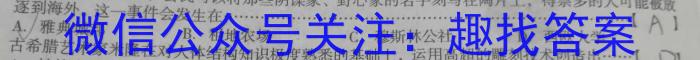 炎德英才大联考 湖南师大附中2024届高三月考试卷(七)历史试题答案