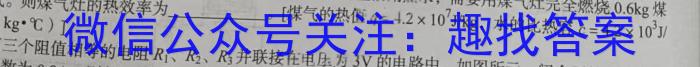 2024年河北省初中毕业生学业考试模拟试卷物理`