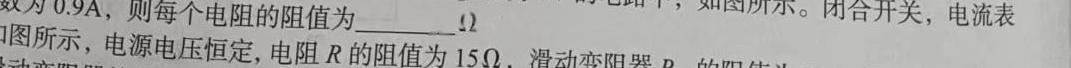 [今日更新]安徽省池州市贵池区2024届九年级（上）期末考试.物理试卷答案