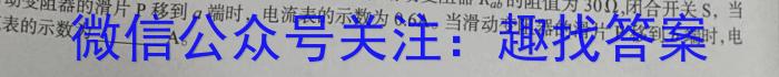 滨城高中联盟2023-2024学年度下学期高二期中考试物理`