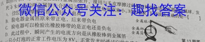 2024年陕西省初中学业水平考试全真模拟试题Af物理