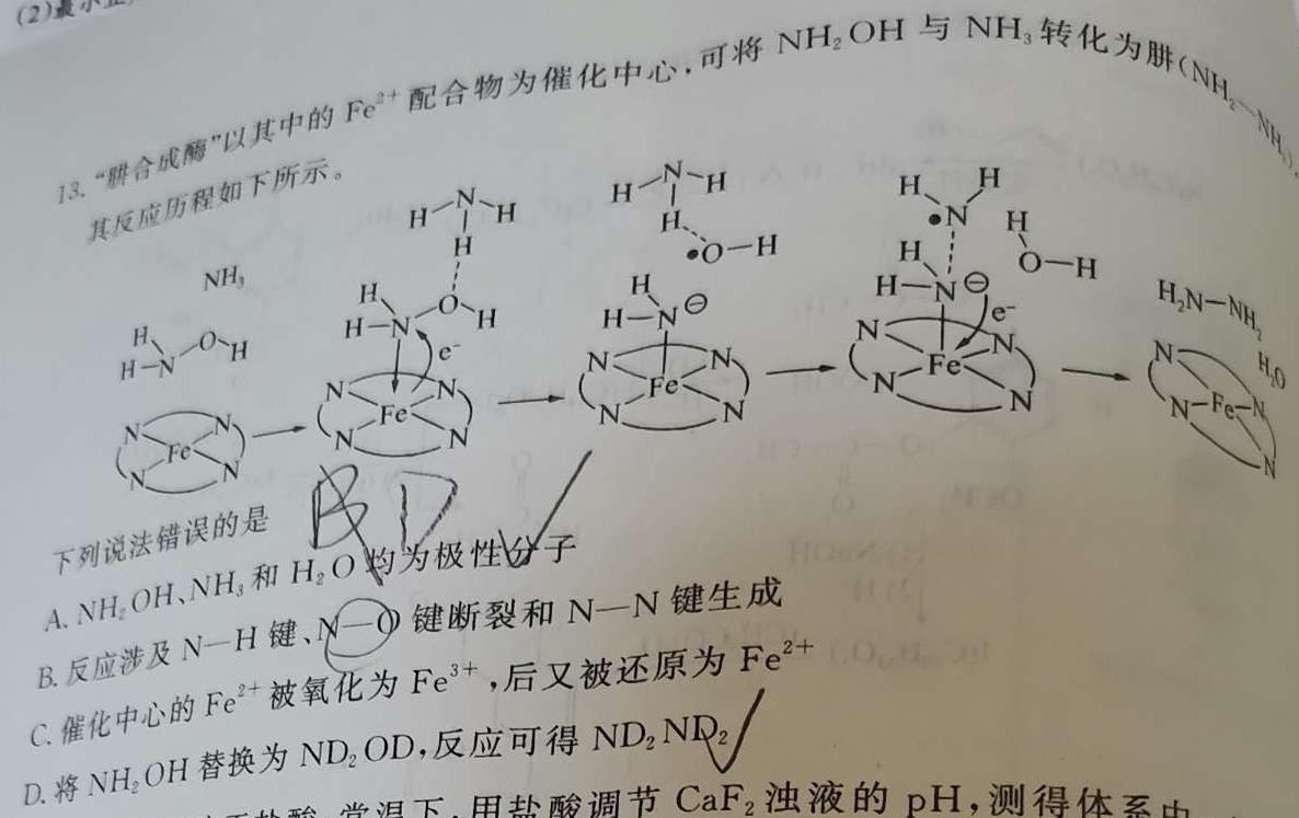 12024届内蒙古高三考试12月联考(24-187C)化学试卷答案