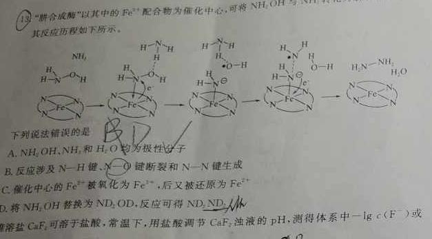 12024届广西省高一年级阶段性考试(24-200A)化学试卷答案