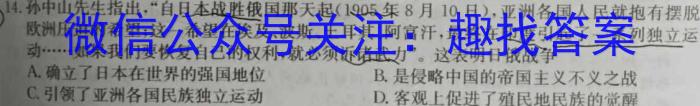 金科大联考·河北省2024届高三12月质量检测（24328C-A)历史试卷答案