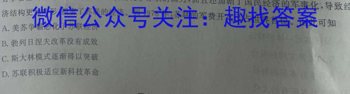 陕西省2023-2024高二模拟测试卷(△)历史试卷答案