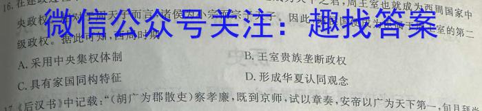 福建省龙岩市2024年高中毕业班五月教学质量检测历史试卷