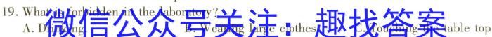 山东省泰安市2024届高三一轮检测英语