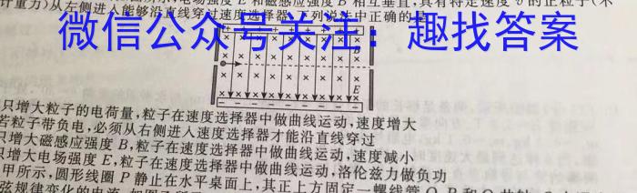 安徽省2024年中考定准卷(无标题)物理试题答案