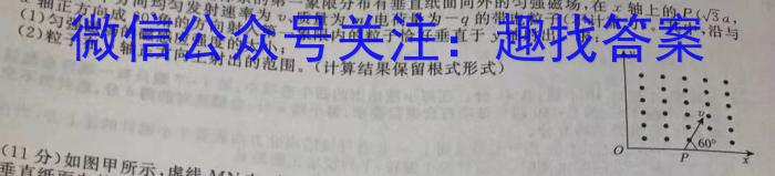 2023-2024年度河南省高三上学期期末检测(24-307C)l物理