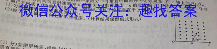 2024年山西省八年级模拟示范卷SHX(六)6物理试题答案