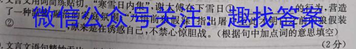 安徽省2023-2024学年九年级第二学期综合素养测评（2月）/语文