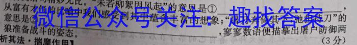 安徽省县中联盟2023-2024学年第二学期高一下学期5月联考语文