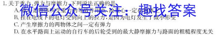 2024年山西省初中学业水平考试适应性测试（一）物理试卷答案