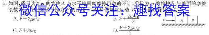 河南省2024年九年级抽测试卷(6月)物理试题答案