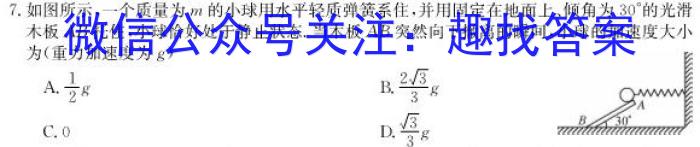 2026届普通高等学校招生全国统一考试青桐鸣高一联考物理