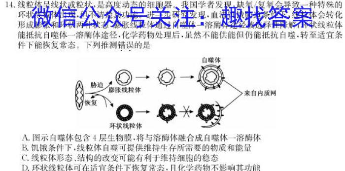 2024年普通高等学校招生全国统一考试冲刺金卷(一)1生物学试题答案