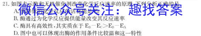 2024届普通高等学校招生全国统一考试 高三青桐鸣信息卷一生物学试题答案