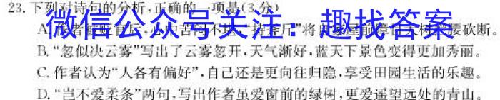 安徽省潜山市2024届九年级上学期1月期末考试/语文