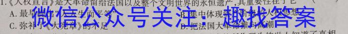 百校联考 2024年广东中考适应性考试历史试题答案