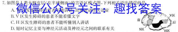 2024届 广东省高三5月联考(24-508C)生物学试题答案