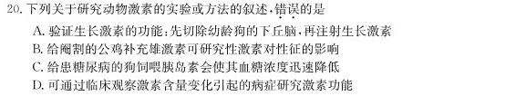 2024年普通高等学校招生全国统一考试 名校联盟·模拟信息卷(T8联盟)(四)4生物学部分