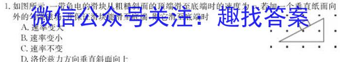 安徽省合肥八中2024届保温卷(5月)物理试卷答案