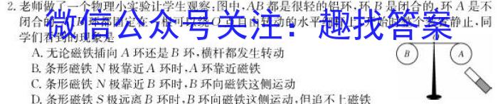 2024年学年第一学期浙南名校联盟返校联考（高二年级）物理试题答案