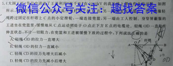 湖北省鄂北六校2023-2024学年下学期高二期中考试物理试卷答案