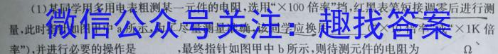 天一大联考 河南省2025届高三年级调研考试物理试题答案