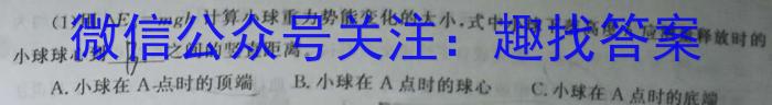 荆州市省市重点高中2023级高一学生素养测试物理`